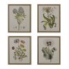 4-piece Botanical Illustration Framed Canvas Wall Art Set