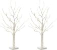 2FT 24LT Pre-lit White Birch Tree Lights with Timer Decorative Light Tabletop Tree-Set of 2