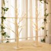 2FT 24LT Pre-lit White Birch Tree Lights with Timer Decorative Light Tabletop Tree-Set of 2